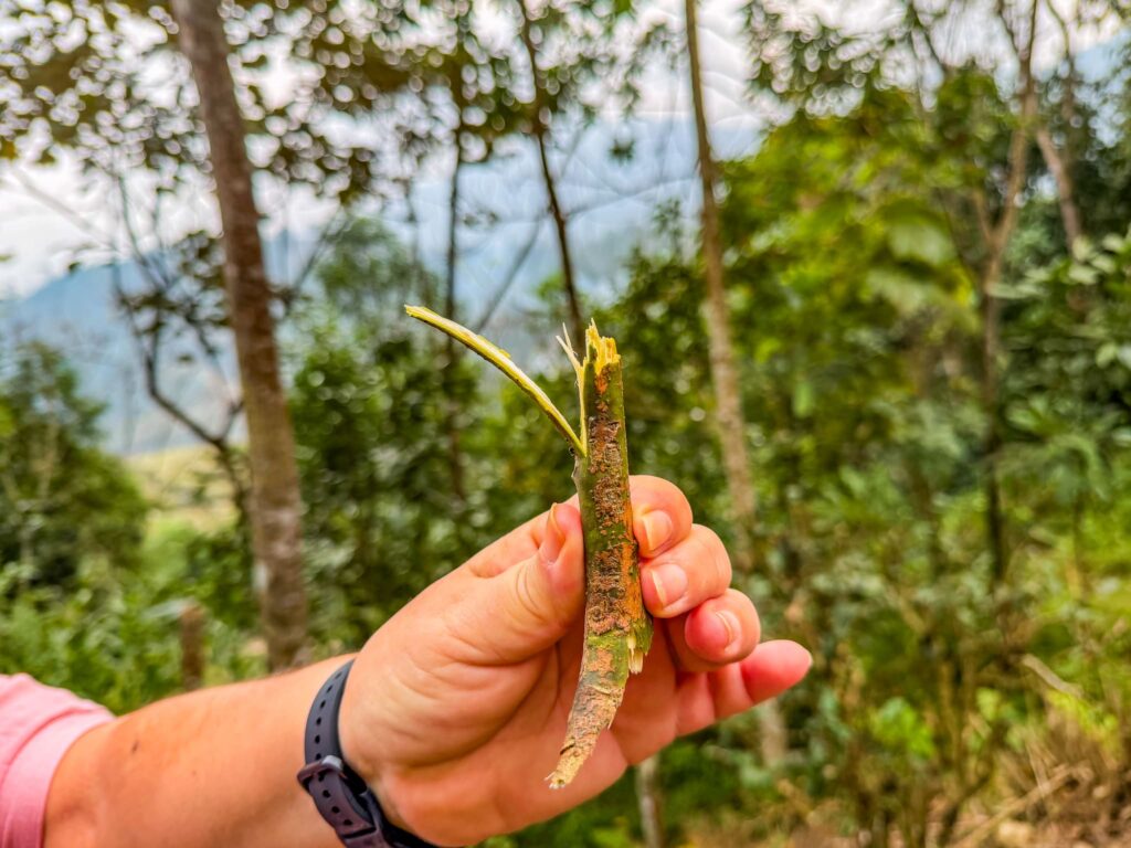 Come sopravvivere a un viaggio in Vietnam con l’Ayurveda, tra aerei e street food Come sopravvivere a un viaggio in Vietnam con l'Ayurveda, tra aerei e street food
