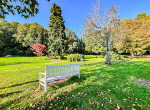 Parco Giardino Sigurtà in autunno. Cosa vedere e la novità 2026 per le famiglie Parco Giardino Sigurtà in autunno. Cosa vedere e la novità 2026 per le famiglie