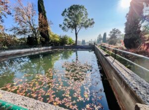 Parco Giardino Sigurt&agrave; in autunno. Cosa vedere e la novit&agrave; 2026 per le famiglie